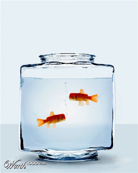 Photoshop Design by purpledeer