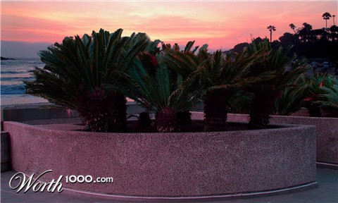 Photoshop Design by icerook