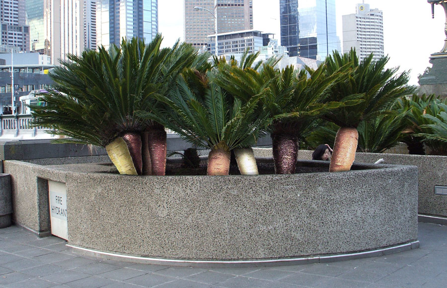 Photoshop Design by Hasilein for DesignCrowd (Community Contests) | Design #8966633