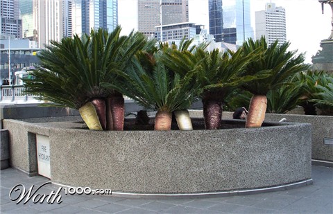 Photoshop Design by Hasilein