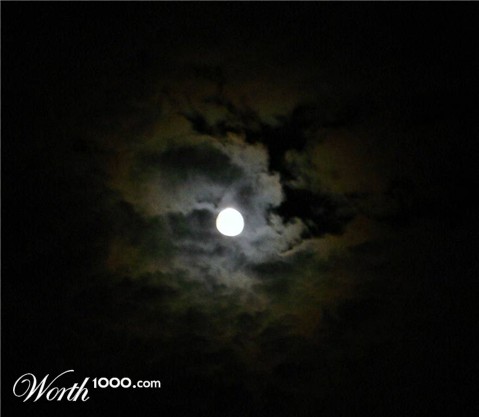 Photography by JoneSyMouSeY