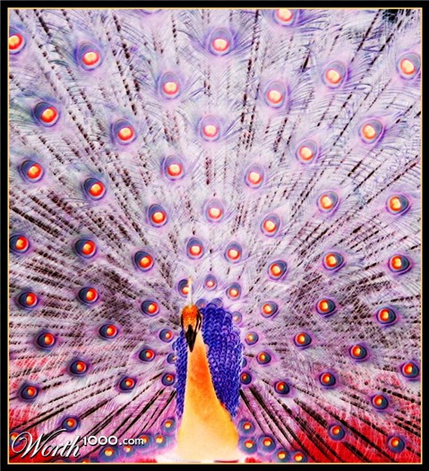 Photography by sudiptatatha