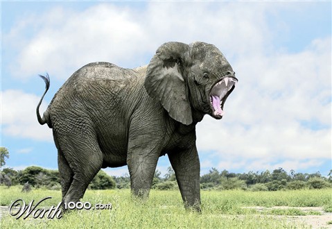 Photoshop Design by Nick Novell