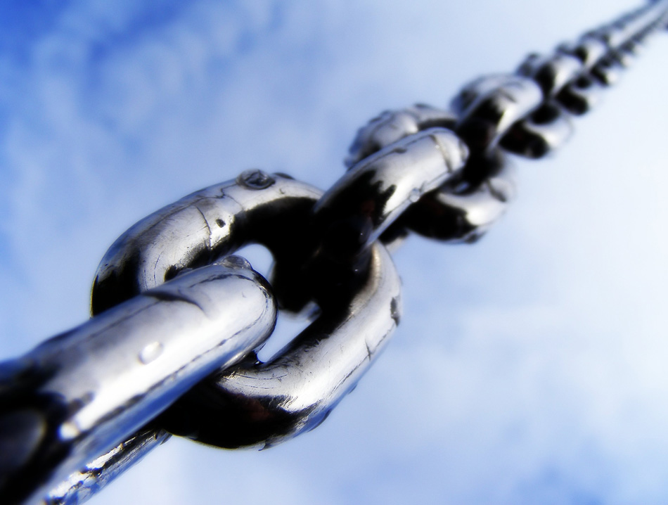 Photography by fujiellena for DesignCrowd (Community Contests) | Design #8962718