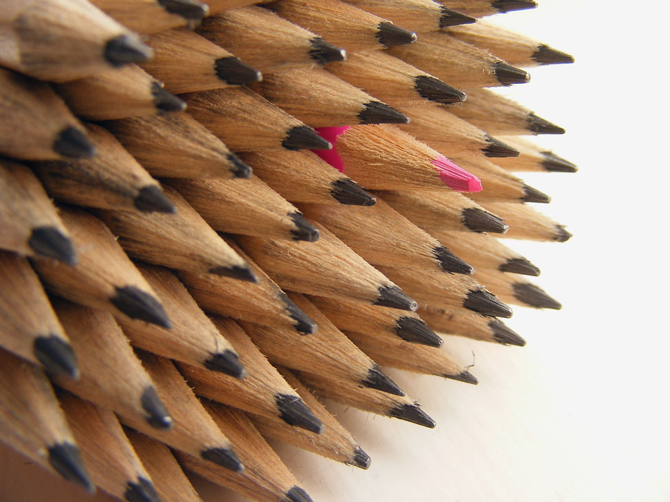 Photography by fujiellena for DesignCrowd (Community Contests) | Design #8964730