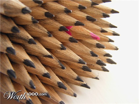 Photography by fujiellena