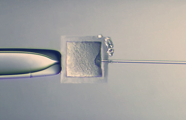 Diseño de Photoshop por kaiman para DesignCrowd (Community Contests) | Diseño #8965267