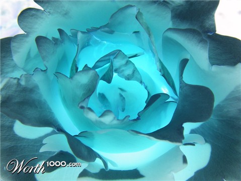 Photography by fujiellena