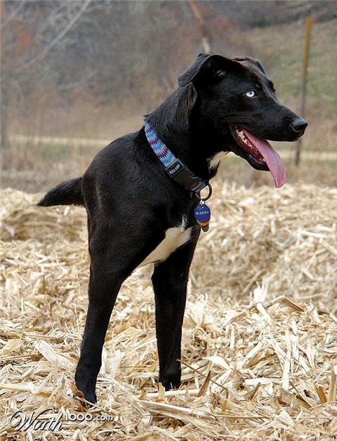 Photoshop Design by Mandrak