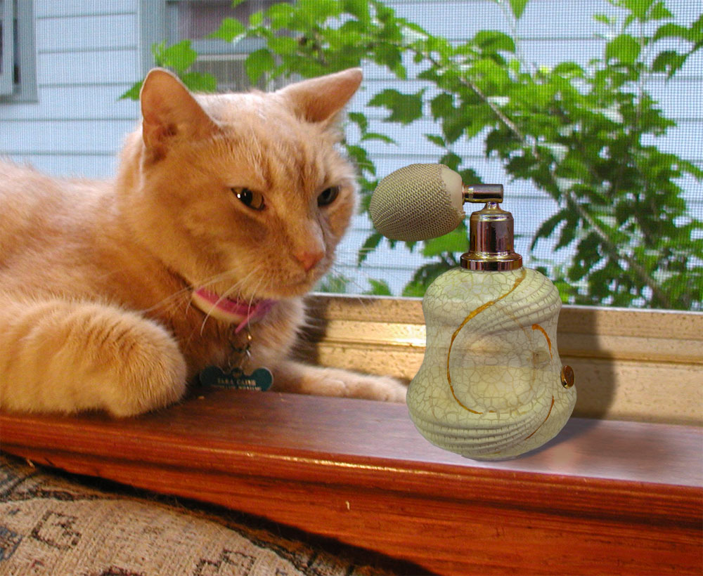 Design Photoshop par willibarb pour DesignCrowd (Community Contests) | Design #8967200