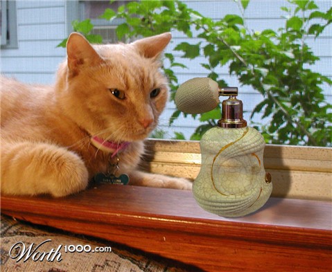 Photoshop Design by willibarb