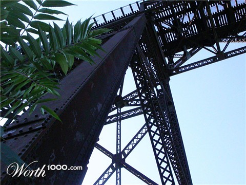 Photography by Crystal211