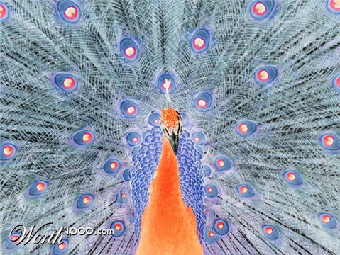 Photography by Schapie