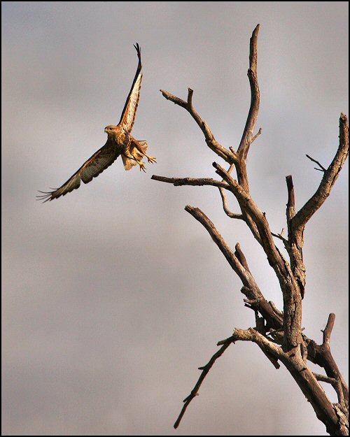 Photographie par Juicer pour DesignCrowd (Community Contests) | Design #8968999