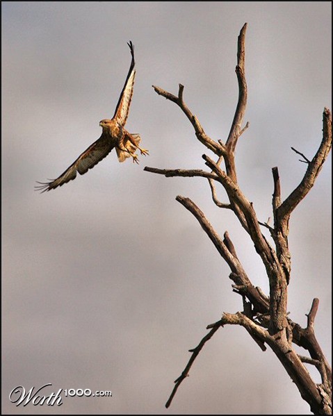 Photography by Juicer