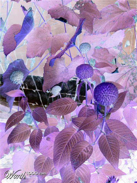 Photography by blessedmercy1018