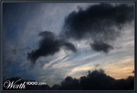 Photography by Andromeda5000