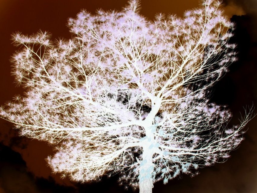 Photography by j9mayer for DesignCrowd (Community Contests) | Design #8968251