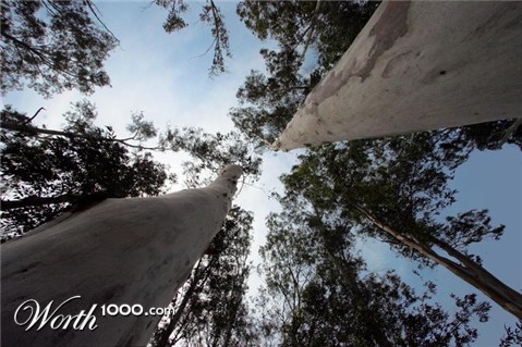 Photography by lokpal007