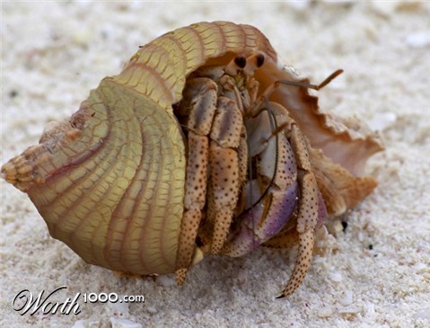 Photoshop Design by bsistrunk