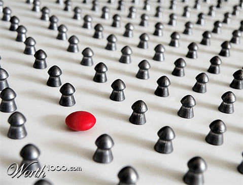 Photography by amirbse