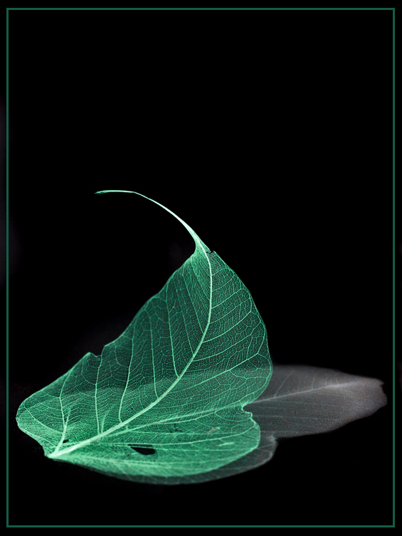 Fotografie von Marian für DesignCrowd (Community Contests) | Design #8968142