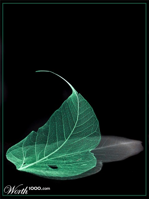 Photography by Marian