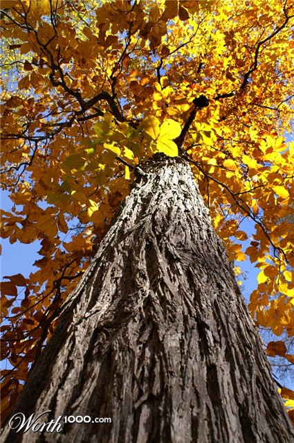 Photography by DebCam