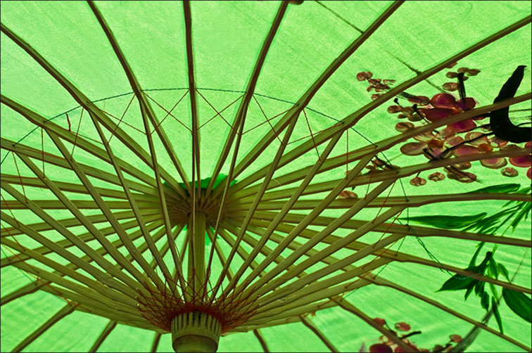 Photography by ClickChick for DesignCrowd (Community Contests) | Design #8968630