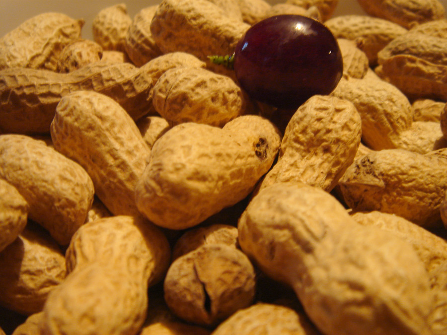 Photographie par devurina pour DesignCrowd (Community Contests) | Design #8964767