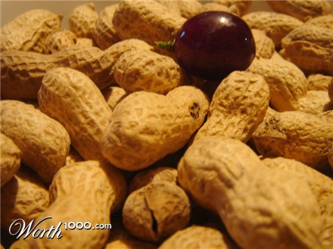 Photography by devurina