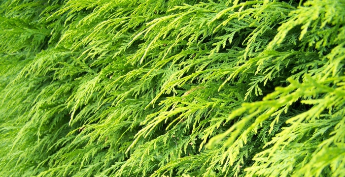 Photography by Ben6219 for DesignCrowd (Community Contests) | Design #8968643