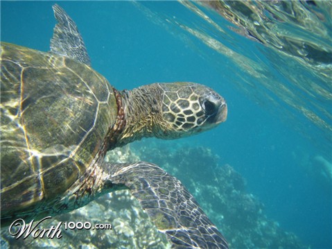 Photography by elgosso