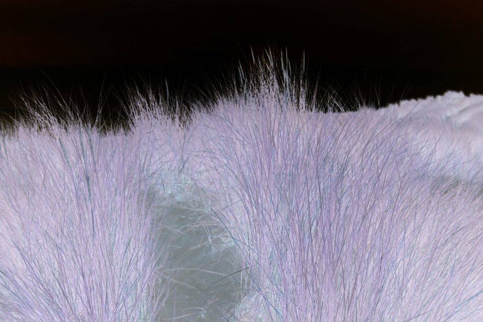 Fotografie von brakwaater für DesignCrowd (Community Contests) | Design #8968421