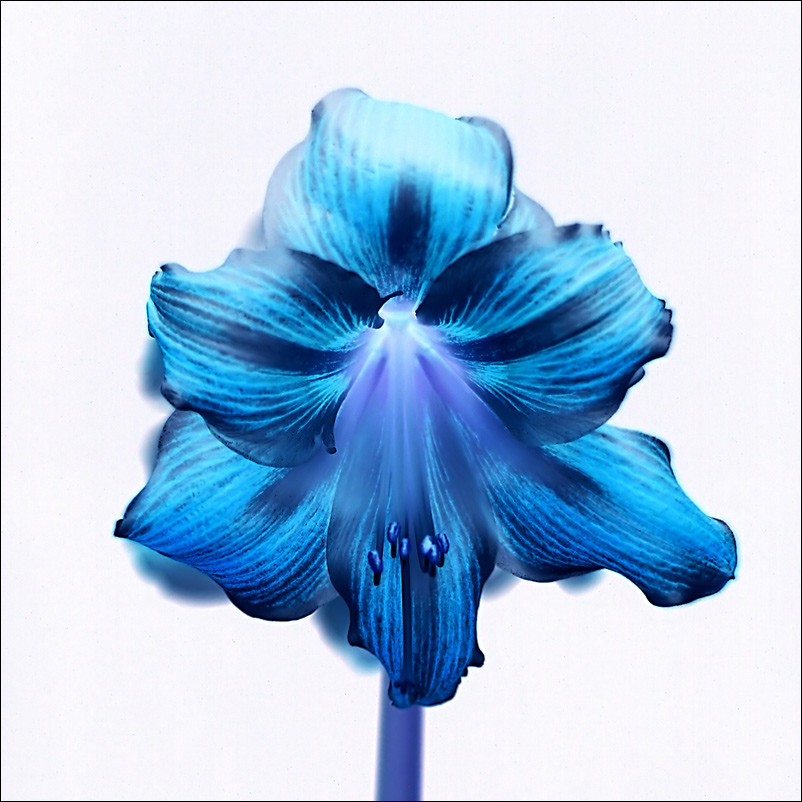 Photography by IsleofJura for DesignCrowd (Community Contests) | Design #8968370