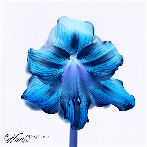 Photography by IsleofJura