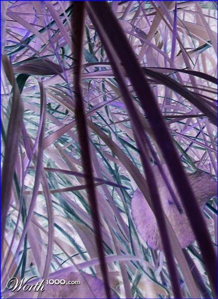 Photography by cassnorton