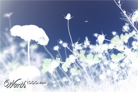 Photography by rochiebones