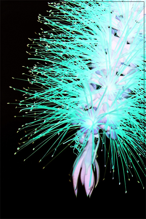 Photography by Jesusito for DesignCrowd (Community Contests) | Design #8968382