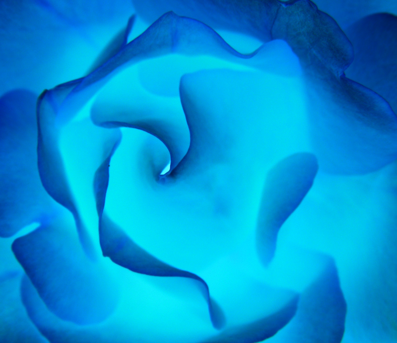 Photographie par Feature pour DesignCrowd (Community Contests) | Design #8968416