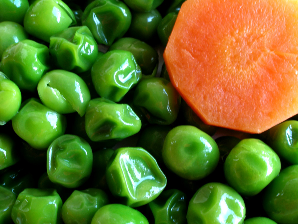 Photography by Andromeda5000 for DesignCrowd (Community Contests) | Design #8964815