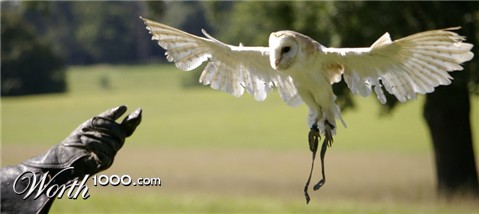 Photography by Rvannith