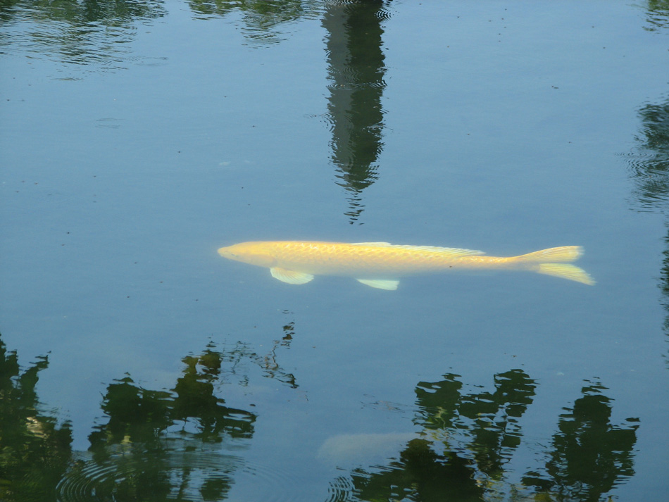 Photography by rocky0009 for DesignCrowd (Community Contests) | Design #8962324