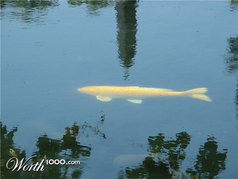 Photography by rocky0009