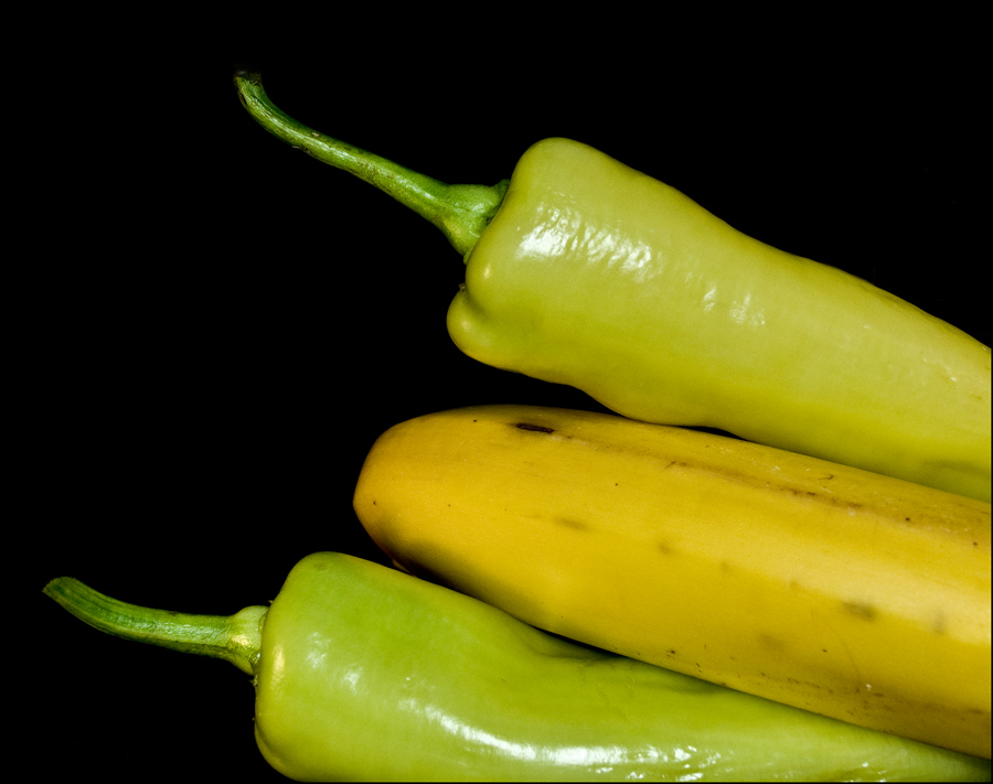 Photography by georgethedog for DesignCrowd (Community Contests) | Design #8964818