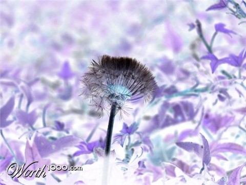 Photography by MrTexas