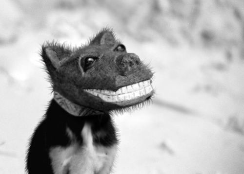 Diseño de Photoshop por iouaze para DesignCrowd (Community Contests) | Diseño #8970913