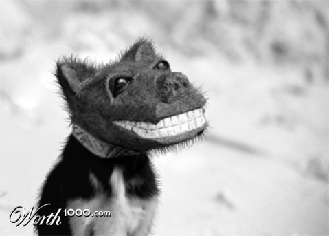 Photoshop Design by iouaze