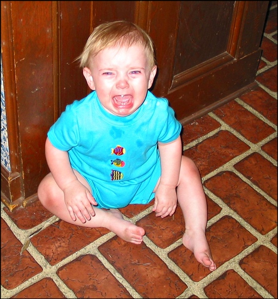 Photography by cassnorton for DesignCrowd (Community Contests) | Design #8965611