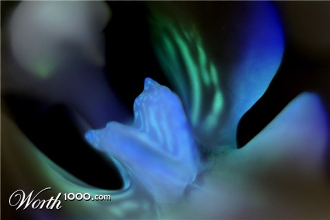 Photography by LeCharbon